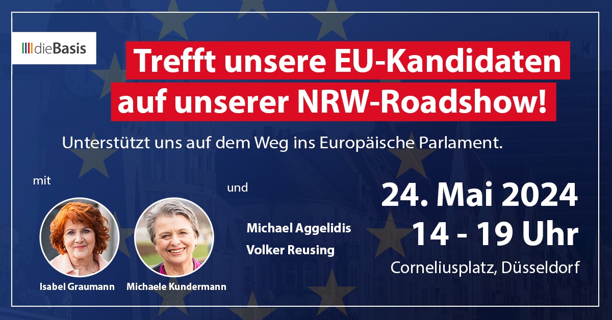 Tour 3-4 Düsseldorf: Coolster Wahl-Lkw